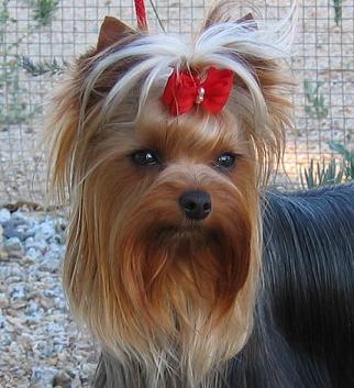 Tresduendes Matilda