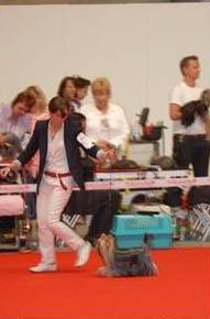 World Dog Show 2010